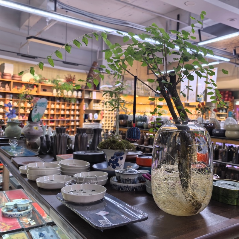 昆明螺蛳湾茶具批发展厅批量采购实拍