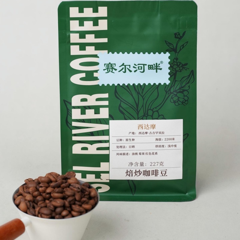 西达摩咖啡豆227克